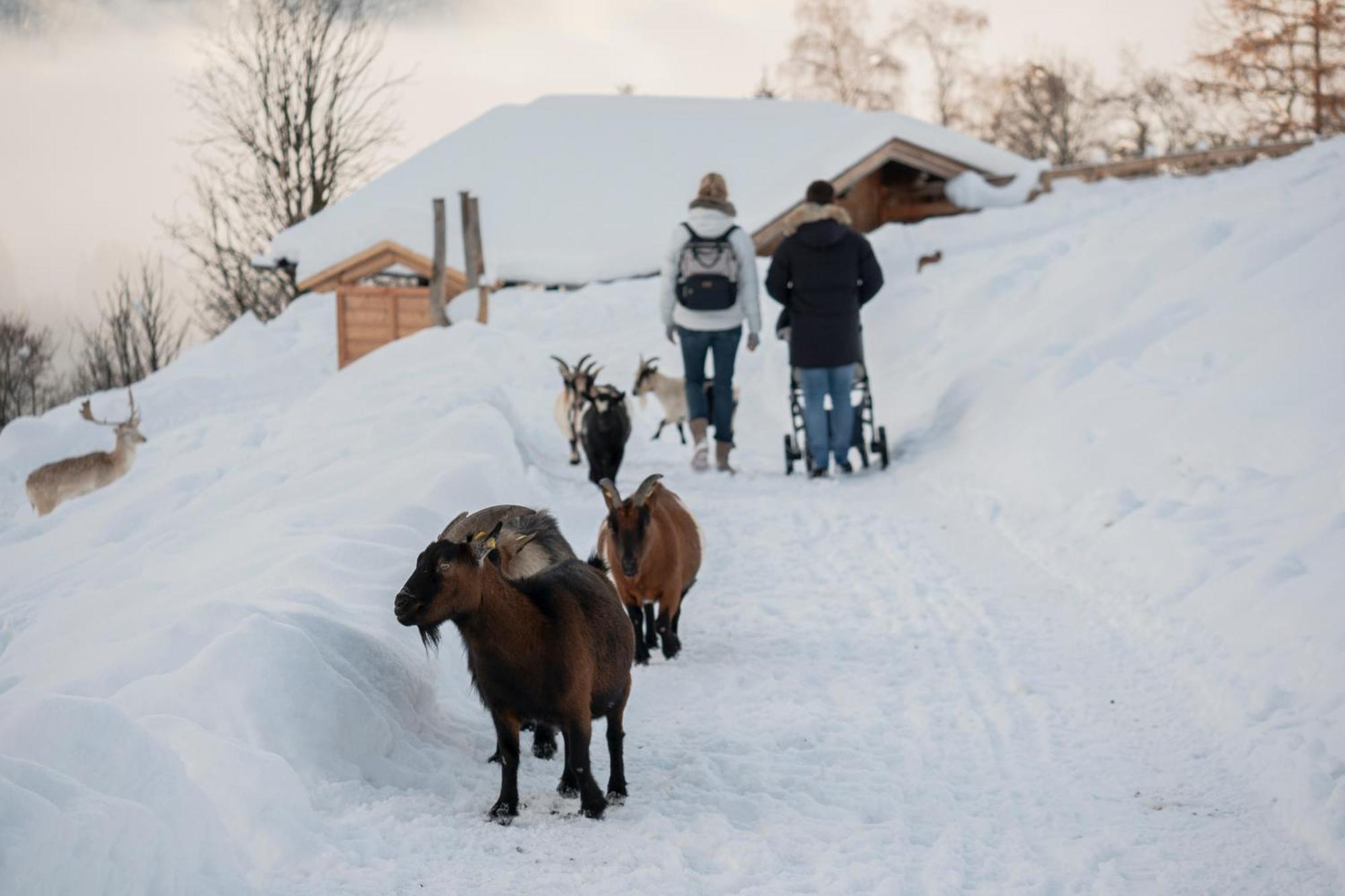 Alte Bildhauerei Lägenhet Aurach bei Kitzbuehel Exteriör bild